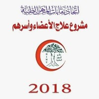 دليل مشروع علاج المهن الطبية