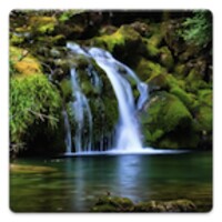Nature Wallpapers!