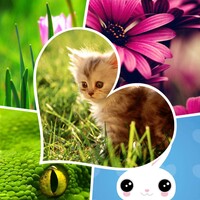 Fresh New Wallpapers