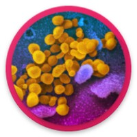 Coronavirus COVID 19: live tracker & symptoms