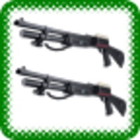 Shotgun 12