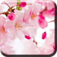 Vivid Sakura