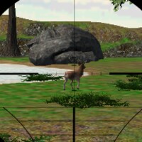 Animal Hunter 3D