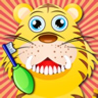 Animal Dentist Office