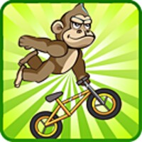 Crazy Rider