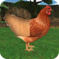 Animal Puzzles