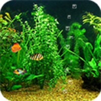 Fish Tank HD